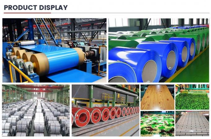 ASTM A653 SGCC Hot Dip Prepainted Galvanized Steel Coil 8